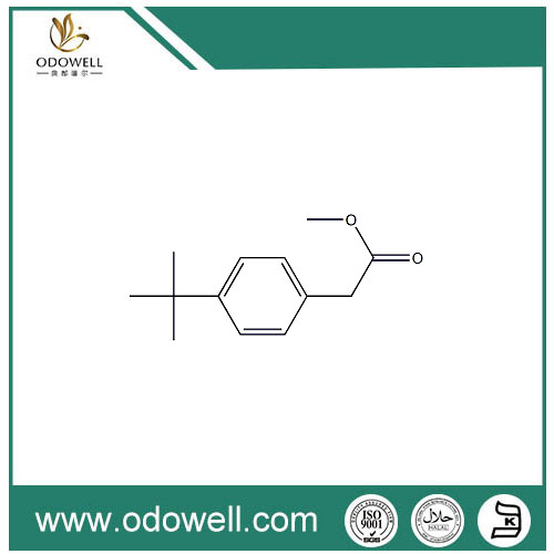 Acetato de metil P-terc-butilfenilo