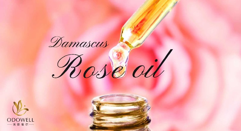 ​Odowell lanza aceite natural premium de rosa de Damasco