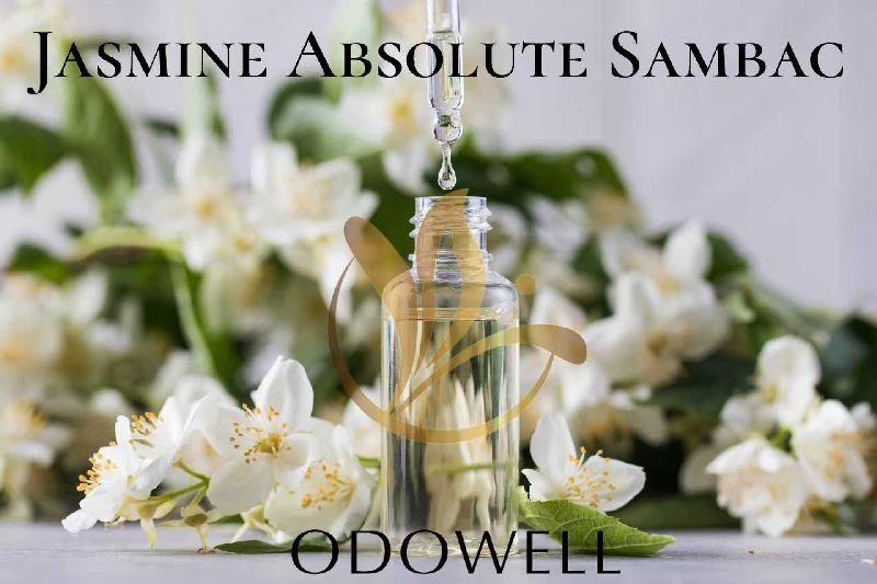 ​ODOWELL lanza Jasmine Absolute Sambac: un absoluto de jazmín natural de primera calidad para perfumes y belleza