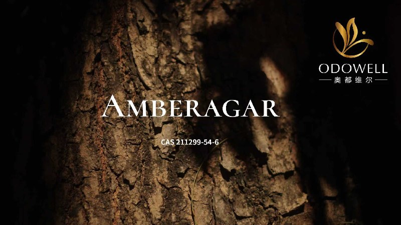 ODOWELL lanza Amberagar, un ingrediente de producción derivado de la madera de cedro que redefine la longevidad en fragancias de lujo