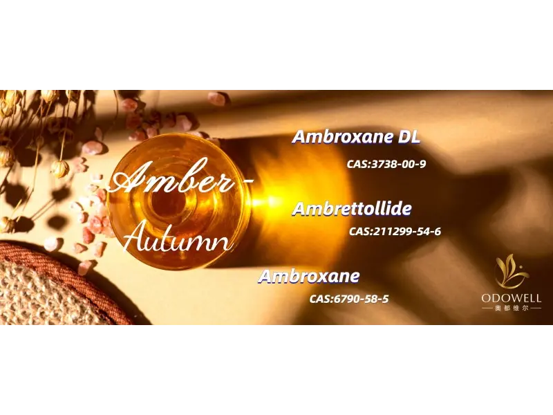 ¿Cuáles son los mejores aromas neutros en cuanto a género para 2025?