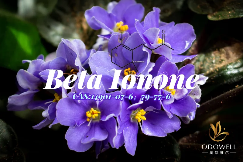 Beta Ionona: cetona violeta-amaderada clásica de ODOWELL para una fragancia fina y profunda