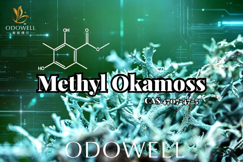 ​ODOWELL presenta Mmethyl Okamoss: auténtico musgo de roble sintético para el dominio del chipre y el fougère