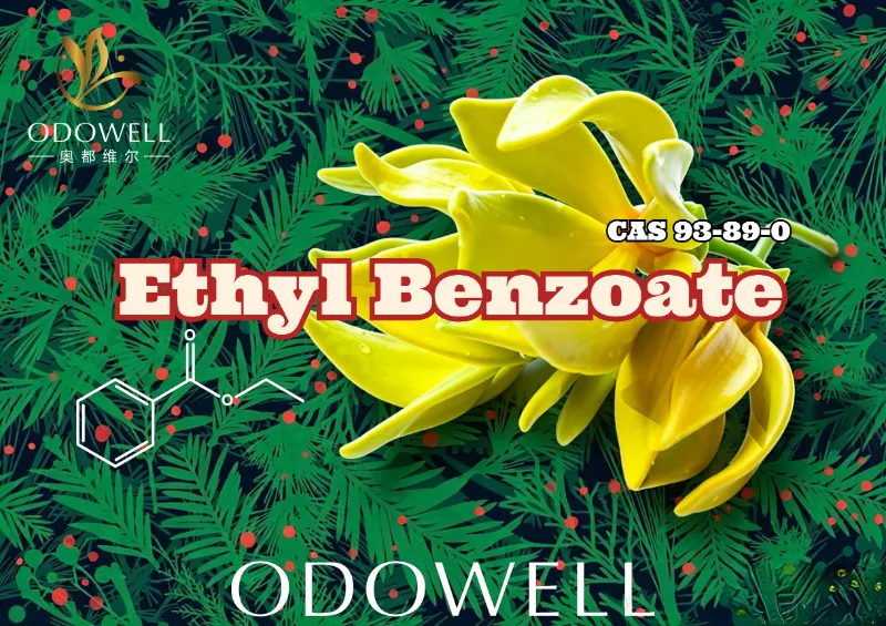 ODOWELL lanza benzoato de etilo: cálido éster de gaulteria-ylang para una elegancia floral y oriental