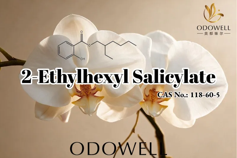 ODOWELL recomienda el salicilato de 2-etilhexilo para aplicaciones de fragancias, cosméticos y cuidado personal