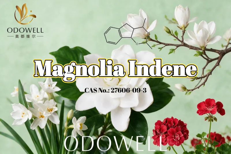 ODOWELL recomienda Magnolia Indene para aplicaciones de fragancias frescas, florales, verdes y cítricas