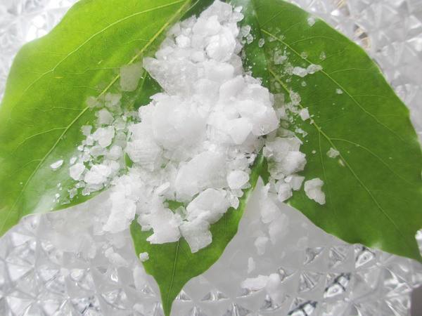 Escamas de borneol sintéticas